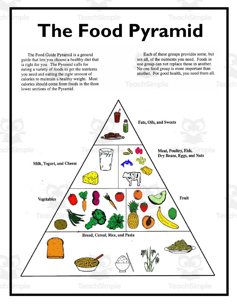 Food Pyramid Worksheet with Free Printable Food Pyramid Worksheets