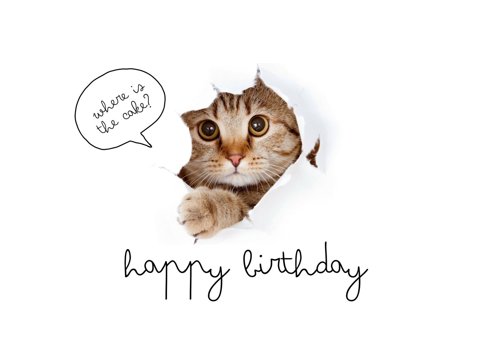 Free Printable Funny Birthday Card Templates | Canva in Free Printable Funny Birthday Cards