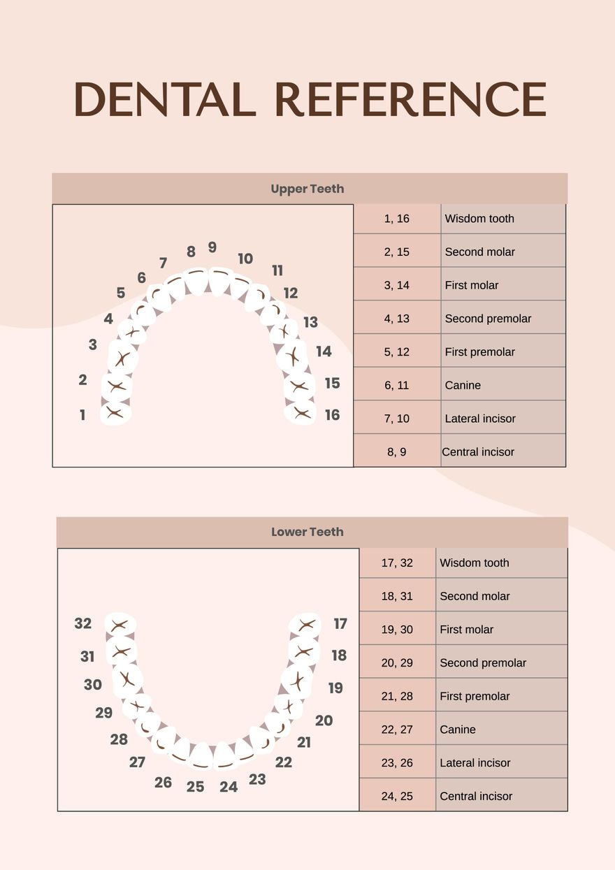 General Dental Chart In Illustrator, Pdf - Download | Template for Dental Chart Printable