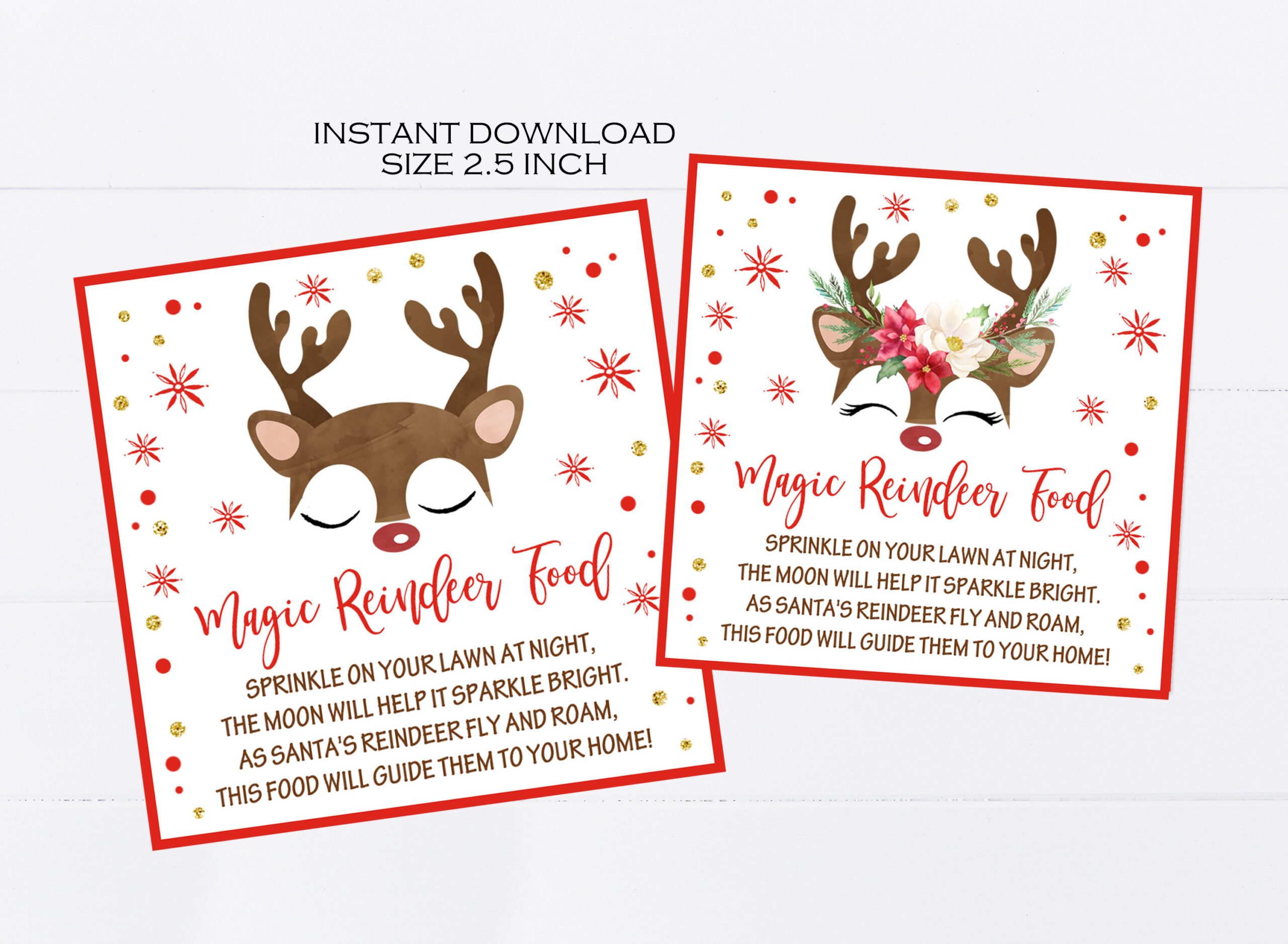 Magic Reindeer Food Tags Printable, Christmas Party Favors for Reindeer Food Printable Tag