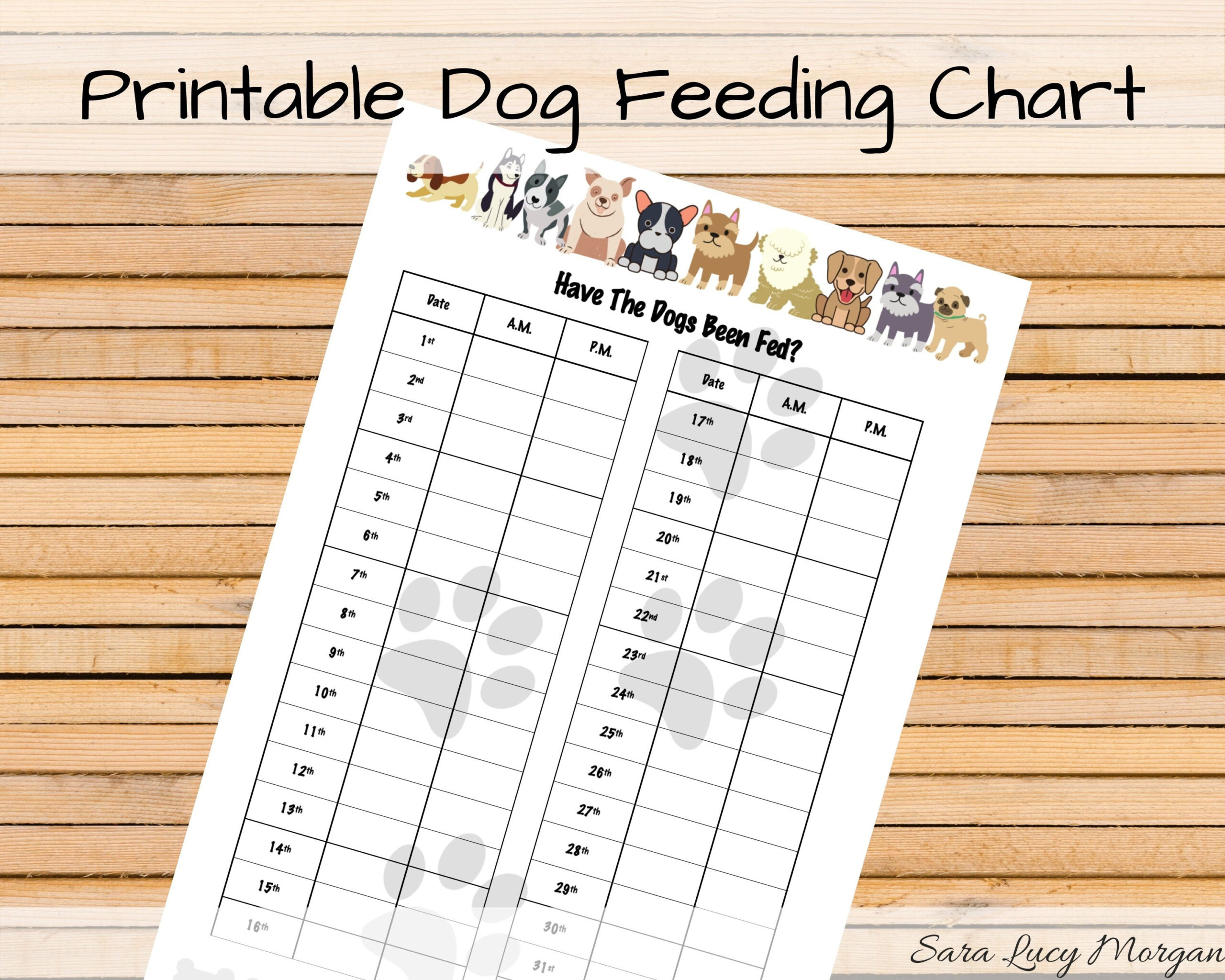 Monthly Printable Dog Feeding Chart. Dog Food Schedule. Pet Food inside Free Printable Dog Feeding Chart