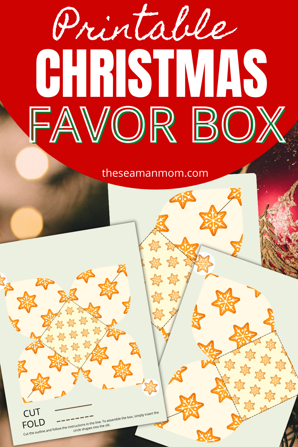 Printable Box Template For Christmas - Easy Peasy Creative Ideas in Christmas Box Template Printable