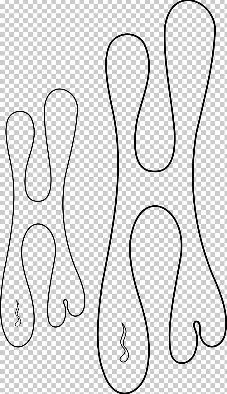 Stencil Airbrush Flame Png with Free Printable Airbrush Templates