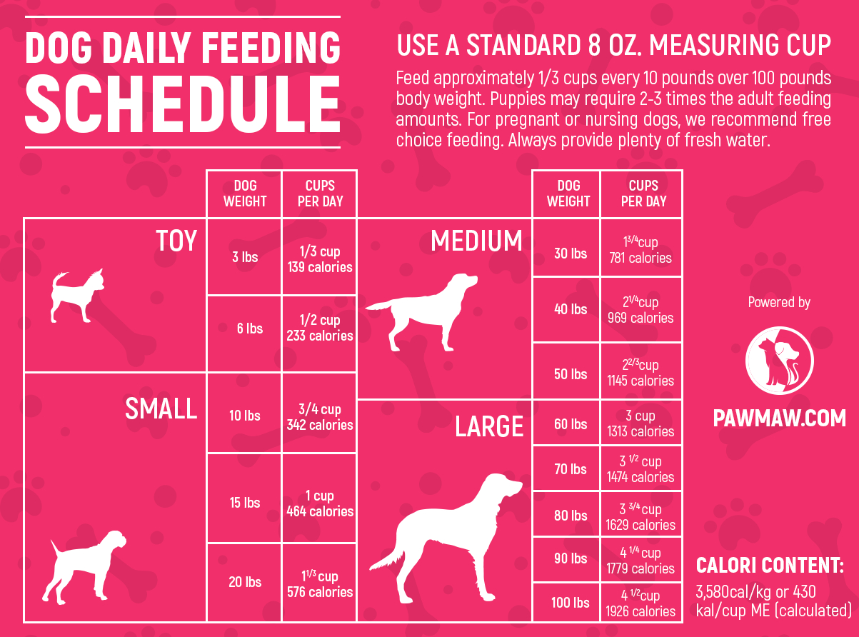 The Ultimate Dog Feeding Schedule Time And Chart within Free Printable Dog Feeding Chart