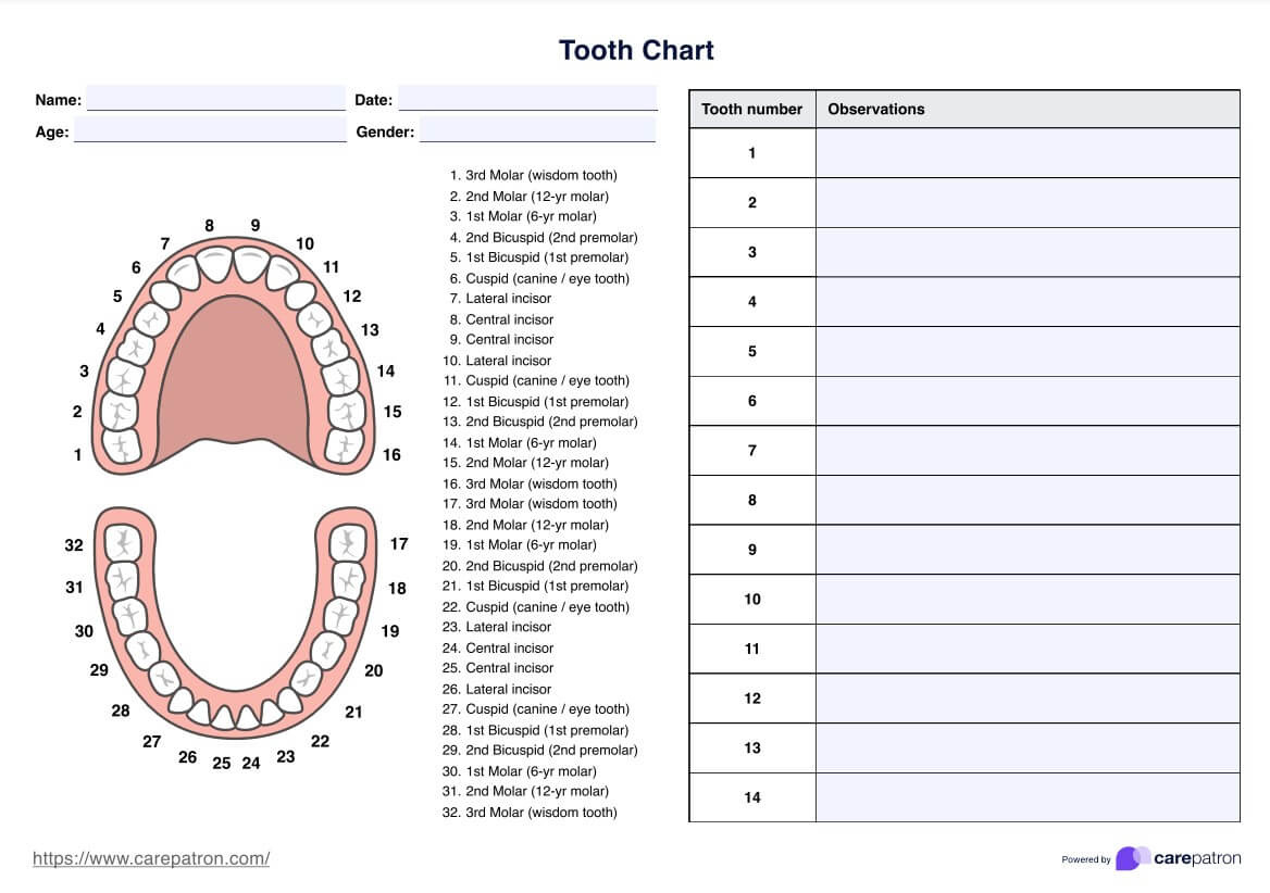 Tooth Charts pertaining to Dental Chart Printable