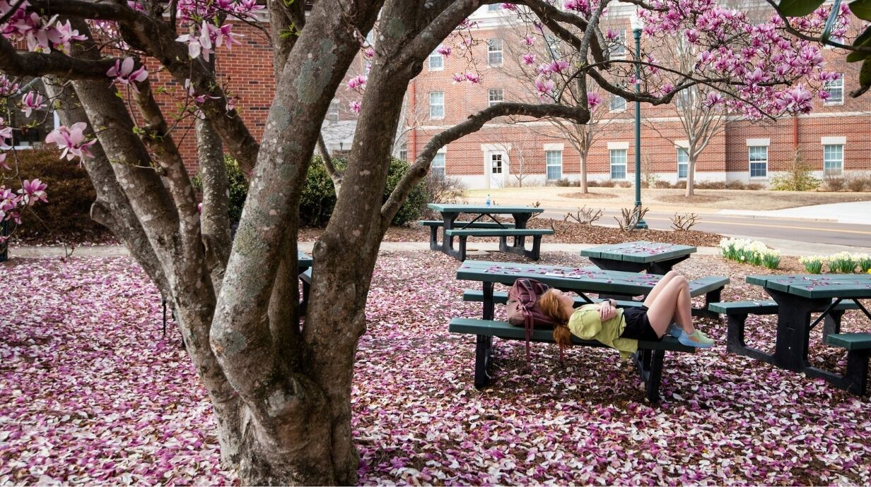 Academic Calendars | Ole Miss within Ole Miss Winter Break 2026 Schedule Printable