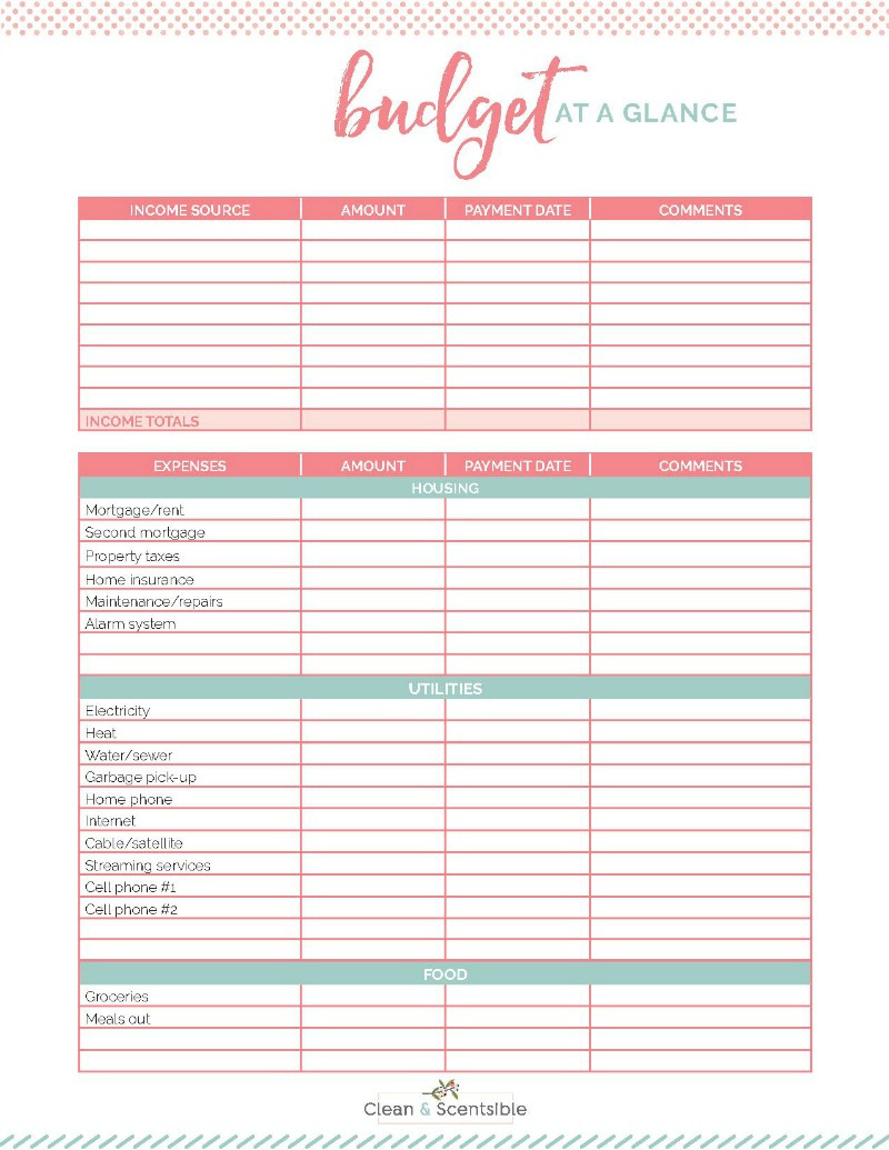 Family Binder Budgeting Printables - Clean And Scentsible for Free Budget Tracker Printable