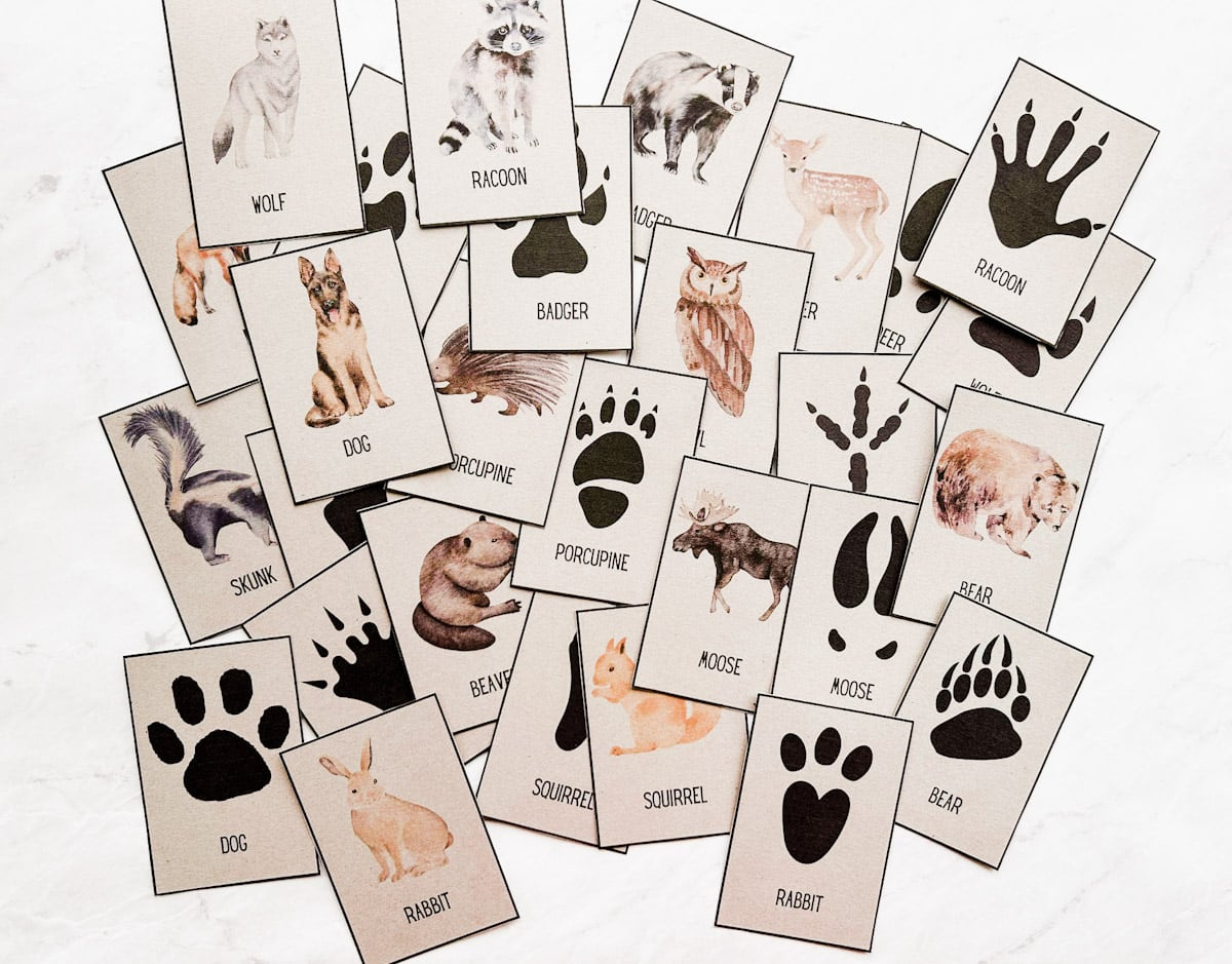 Free Animal Tracks Printable Cards | Nature Activity - Fox Farm Home with regard to Free Printable Animal Tracks Matching Game