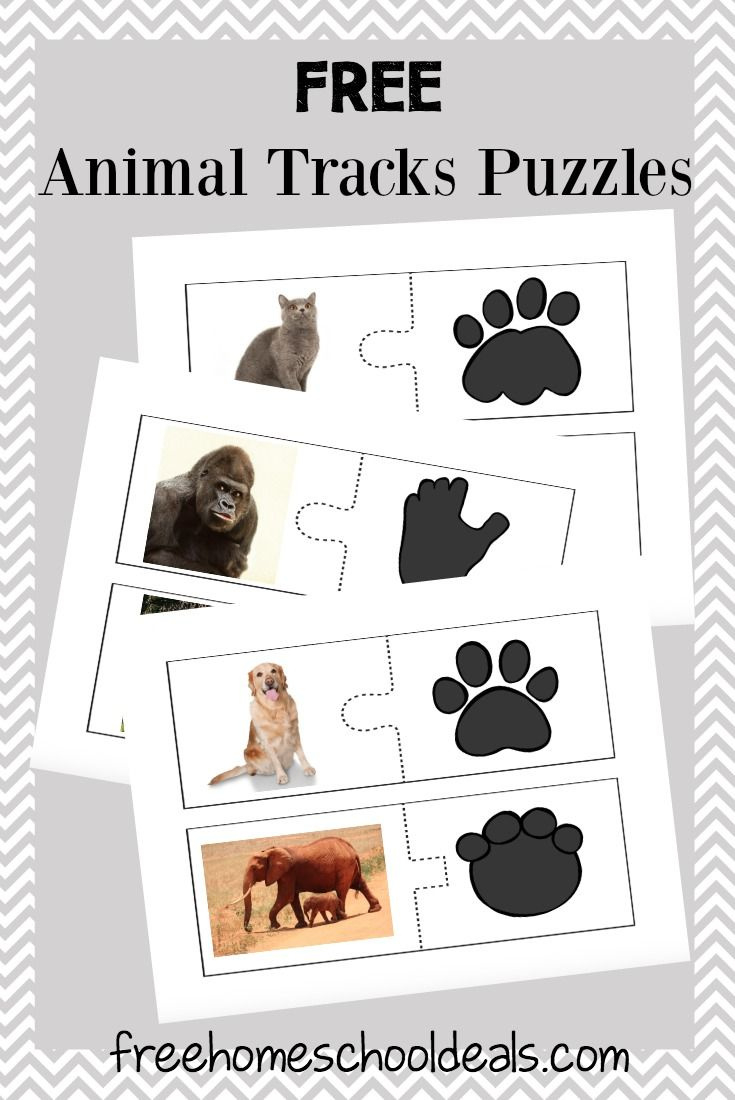 Free Animal Tracks Puzzles (Instant Download!) within Animal Tracks Matching Game Printable