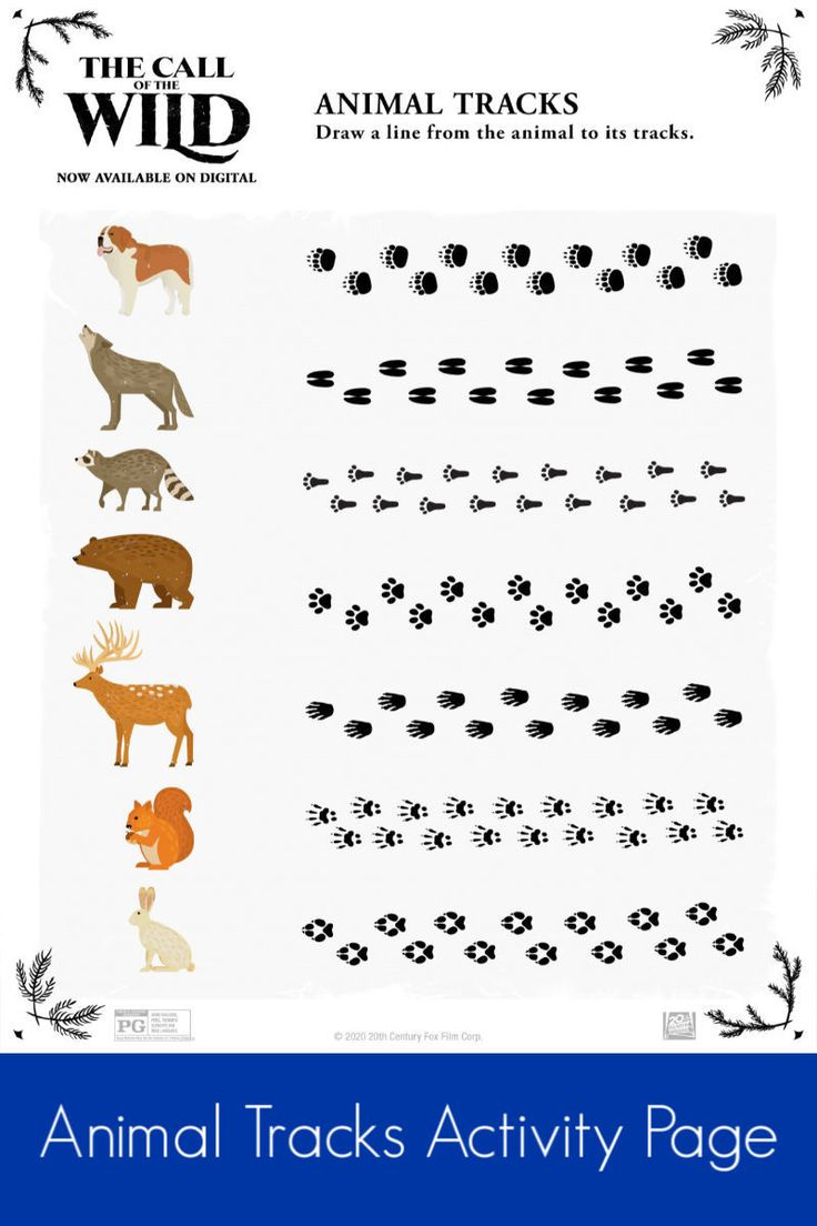 Free Printable Animal Tracks Activity Page inside Animal Tracks Free Printable