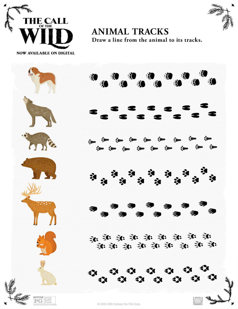 Free Printable Animal Tracks Activity Page - Mama Likes This intended for Free Printable Animal Tracks