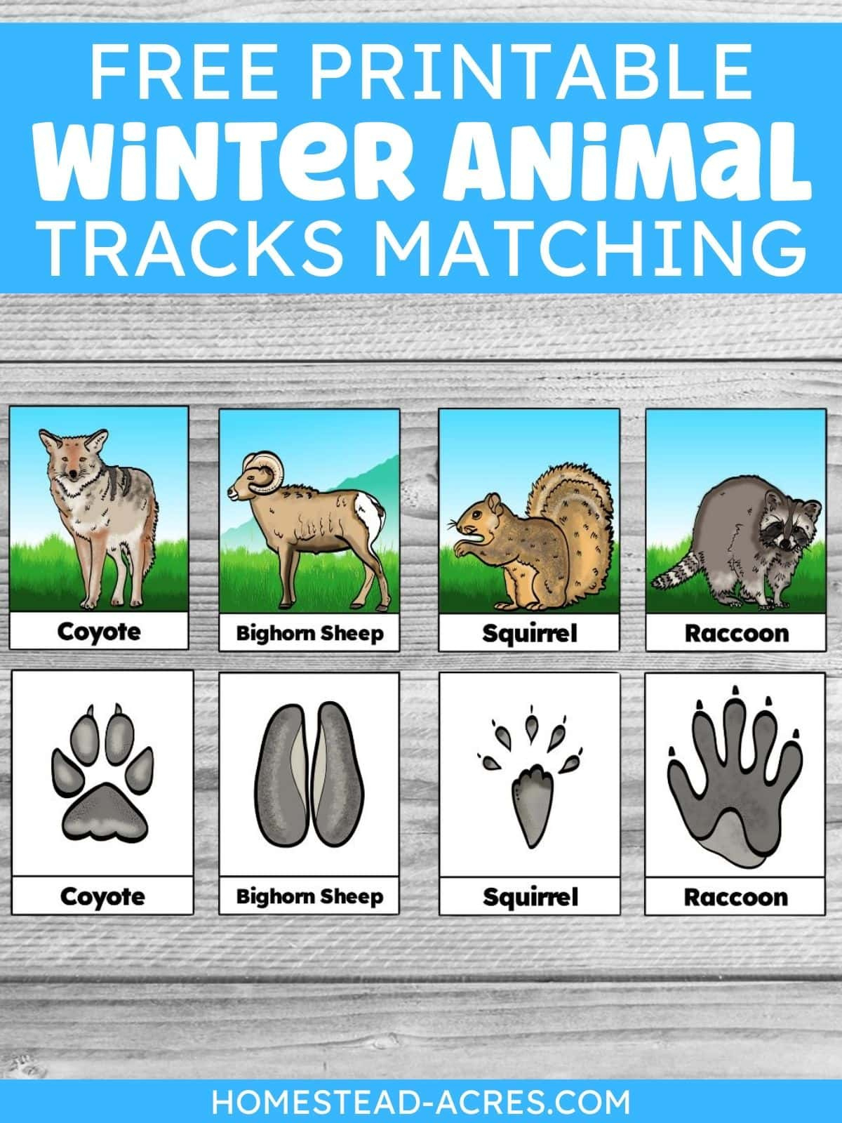 Free Printable Winter Animal Tracks Identification & Matching Cards with Animal Tracks Matching Game Free Printable