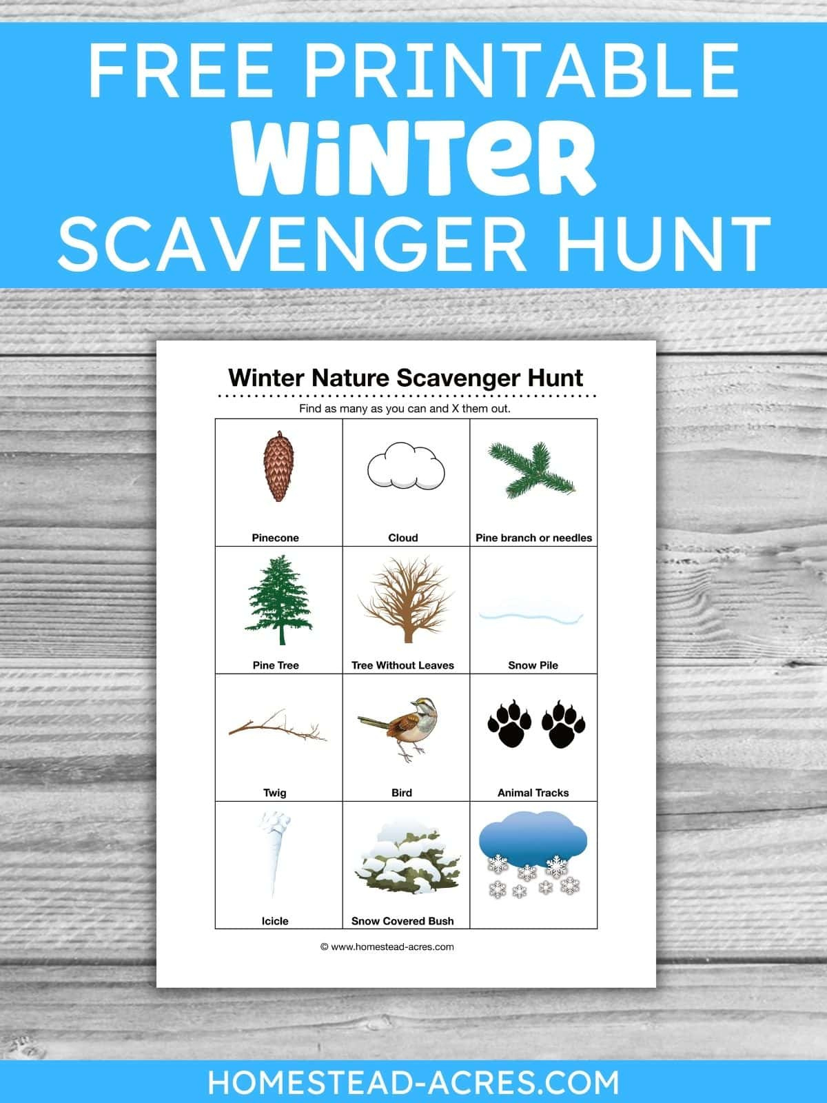 Free Printable Winter Scavenger Hunt For Kids regarding Winter Nature Walk Scavenger Hunt Free Printable