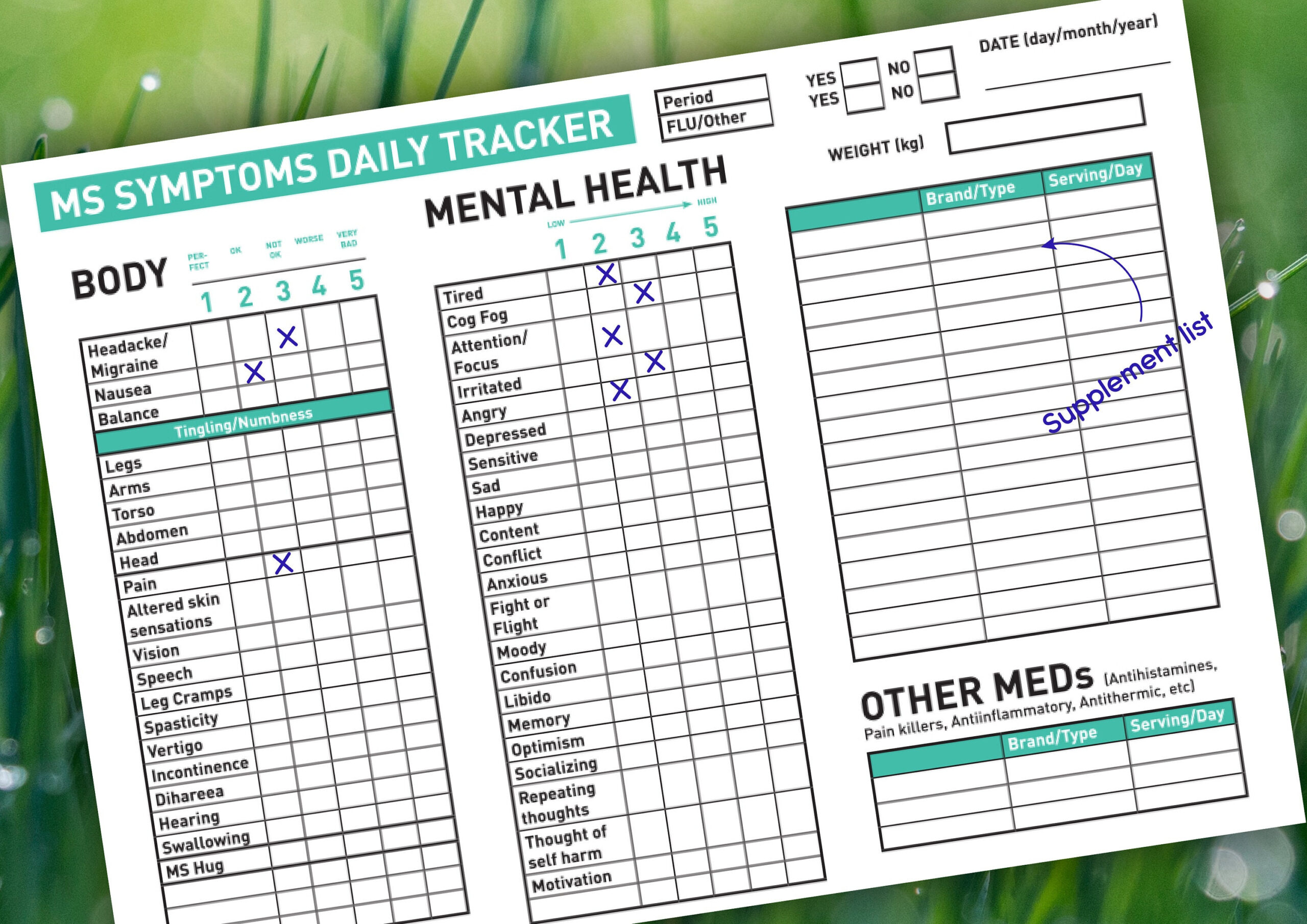 Printable Mint Color Ms Symptom Daily Tracker - Etsy intended for Printable Ms Symptom Tracker