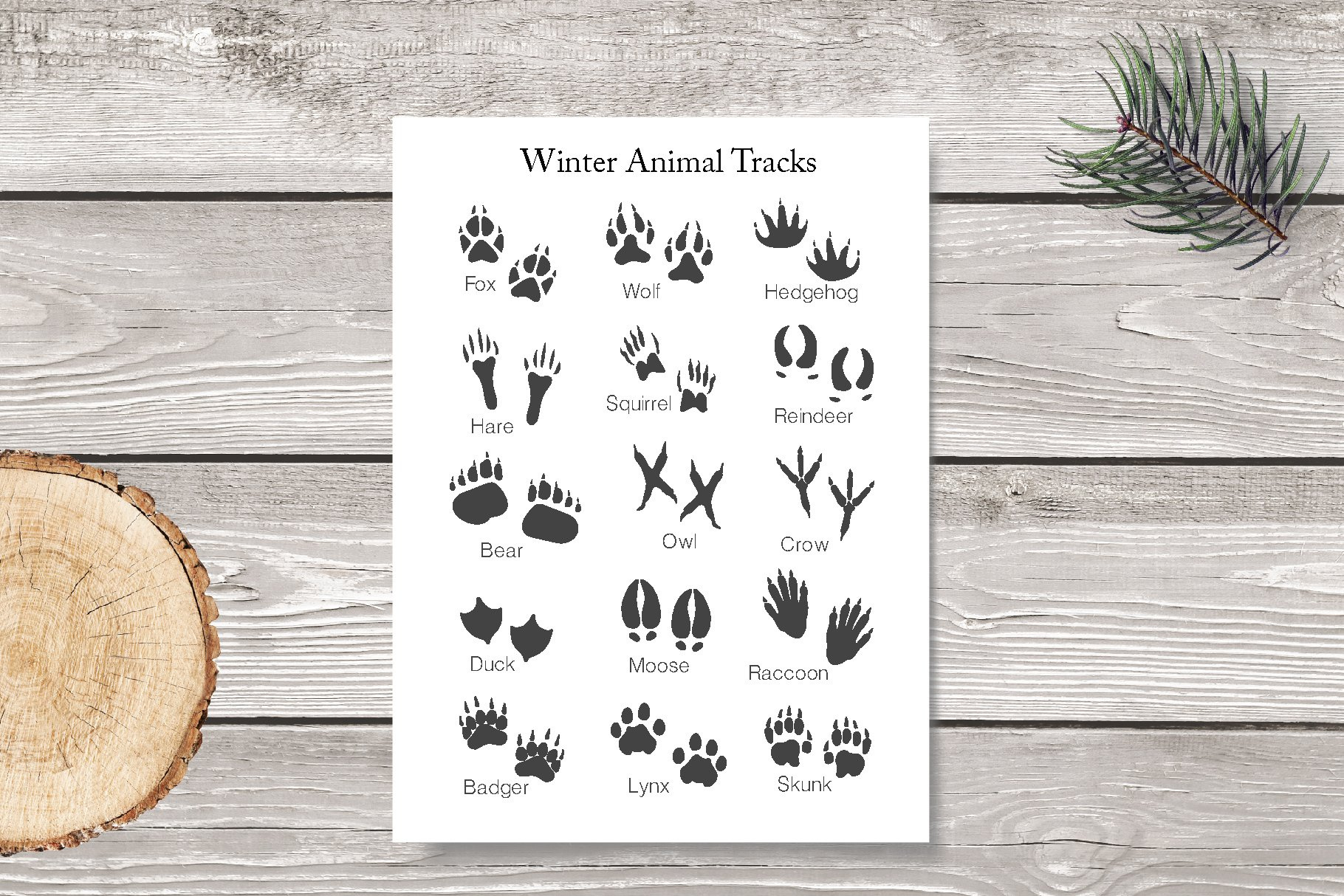 Winter Animals Tracks Printable Poster (3049870) for Winter Animal Tracks Printable